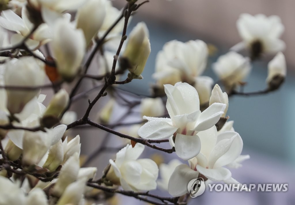 [내일날씨] 전국 흐리다 차차 맑아져…오전 한때 빗방울