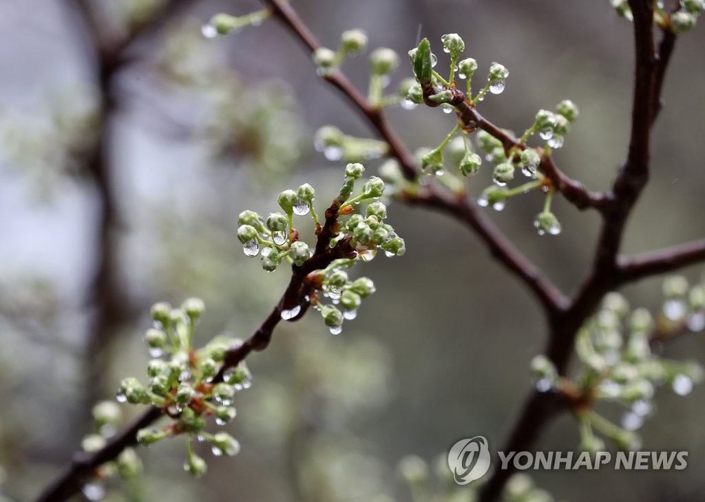 [내일날씨] 일교차 큰 날씨 지속…제주·남해안 비 소식