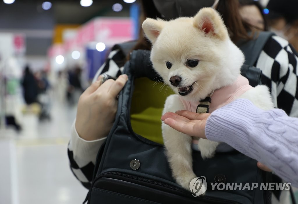 "옥수수 전분으로 만든 먹이, 반려견 비만 예방에 효과"