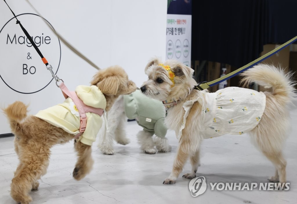 동물학대 제재강화-맹견 사육허가제…동물보호법 개정안 국회 통과(종합)