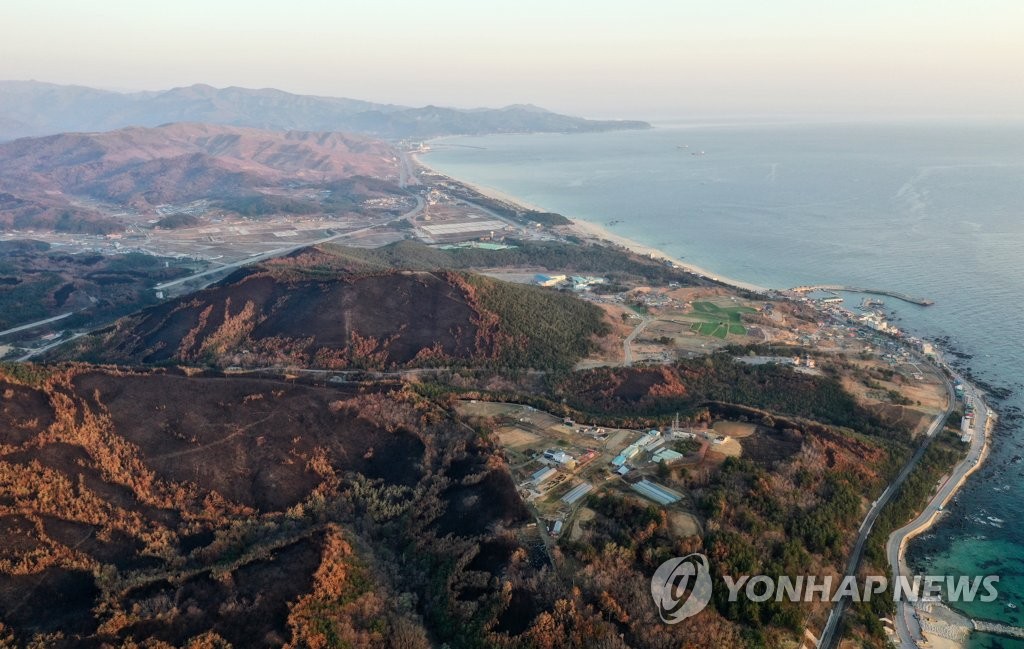 울진 산불 피해지 레저시설 등 유치…경북도 TF 구성