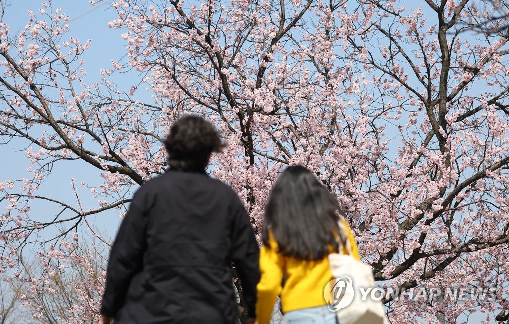 [내일날씨] 전국 구름 많고 일교차 큰 식목일…내륙 대기 건조