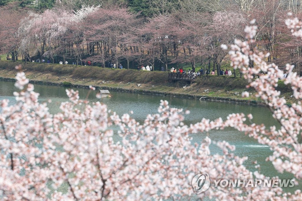 지난달 평균기온 7.7도, 역대 3번째로 따뜻…봄꽃도 빨리 폈다