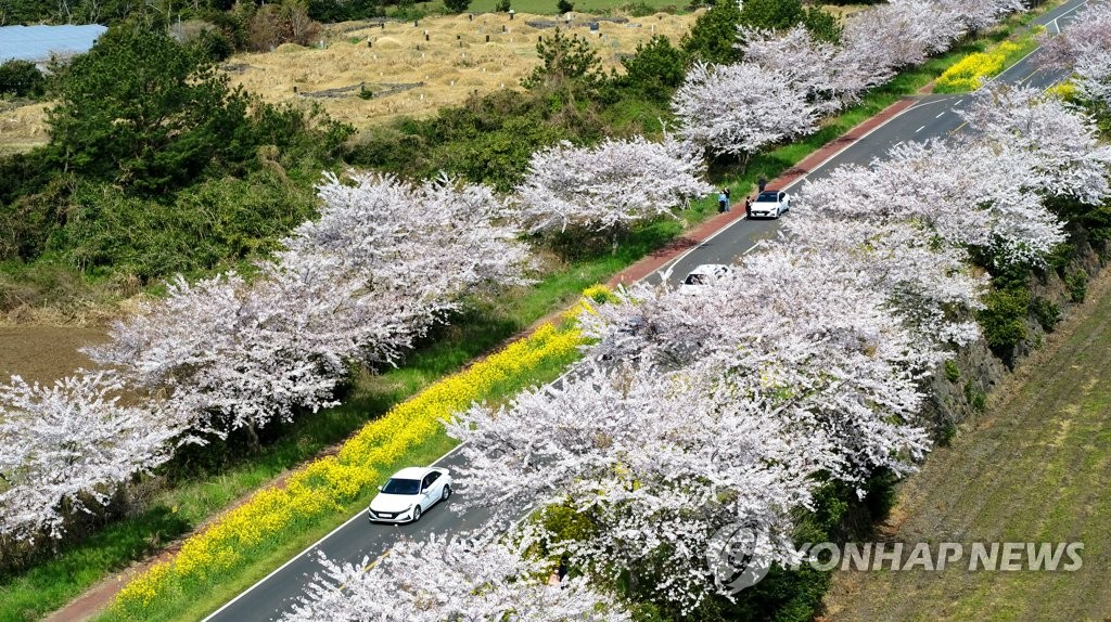 코로나19 위기 속 제주 관광 만족도 지속 하락