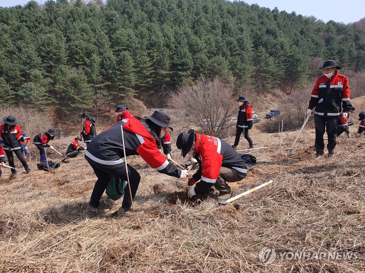 북부산림청, 유휴지 산림복원…40년 목장용지에 나무 심기 행사