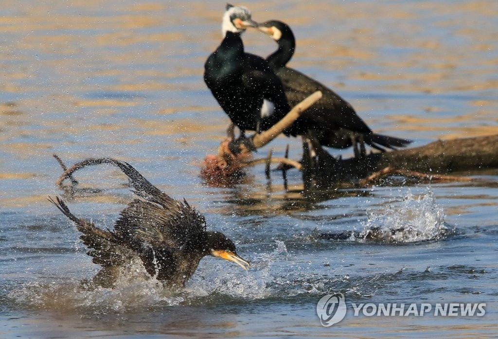 [내일날씨] 전국 맑고 큰 일교차…경기 남부 오전 미세먼지