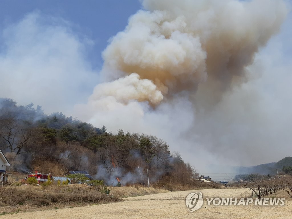 힘들게 나무 심었더니…식목일에 전국 6곳 산불로 120여㏊ 태워