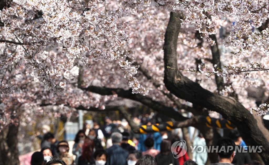 남부지방 낮기온 24도 안팎까지…건조한 날씨 이어져