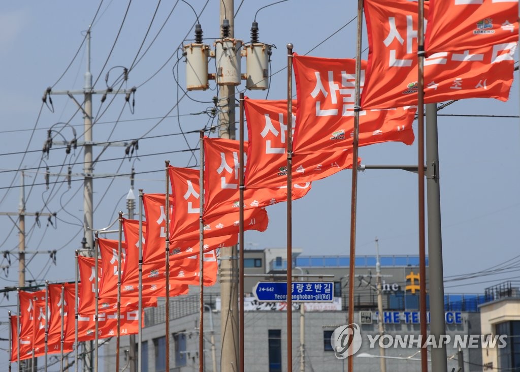 강원 '태풍급 강풍'…항공기 결항·케이블카 중단 피해 속출