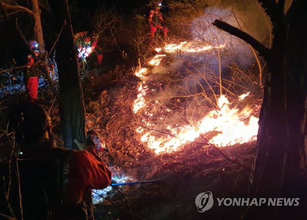 산불 또 산불… 건조한 날씨에 바람까지, 주말 내내 30여건 발생