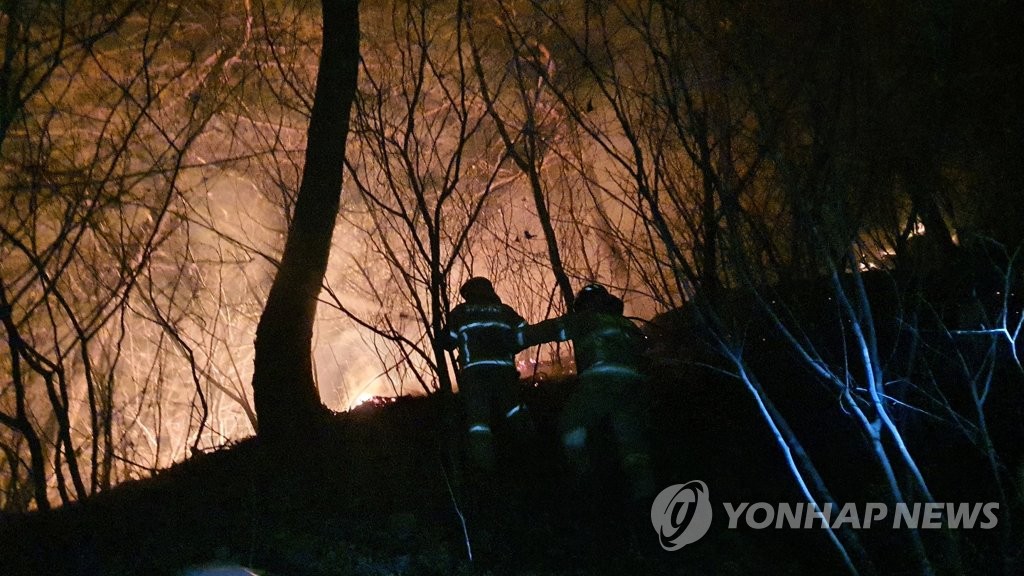 양구 산불 민가 턱밑까지 위협…밤샘 진화와 갈퀴질로 방어