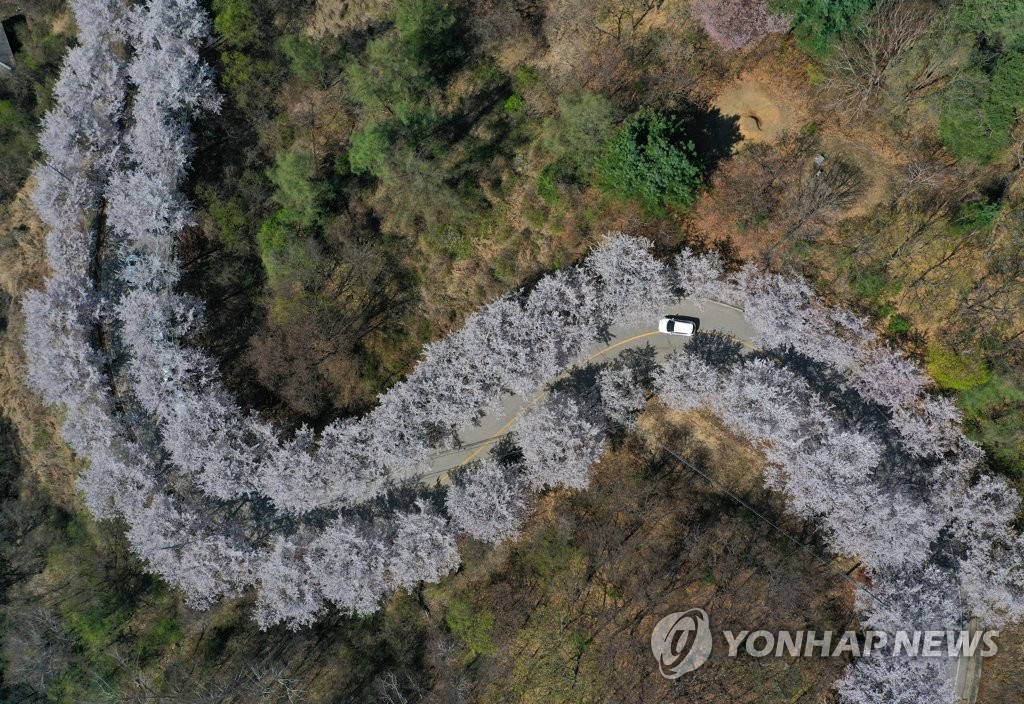 거리두기 끝…깊어가는 봄 도심·명산 나들이객 북적(종합)