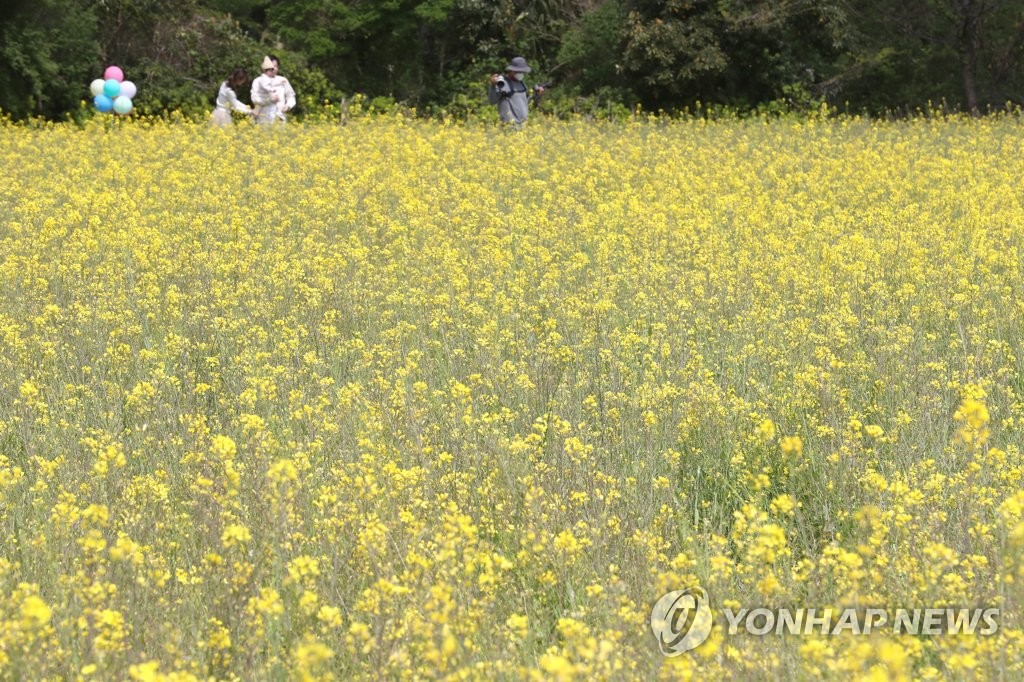 "코로나19 넘어 일상으로" 제주 관광 마케팅 본격화