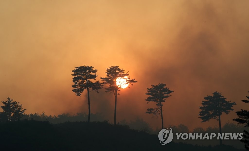 12시간 만에 주불 잡은 양양 산불…잔불 진화에 헬기·인력 투입