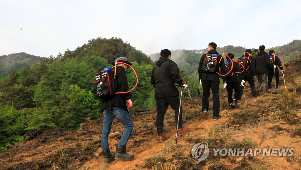 12시간 만에 주불 잡은 양양 산불…22시간 만에 완전진화(종합)