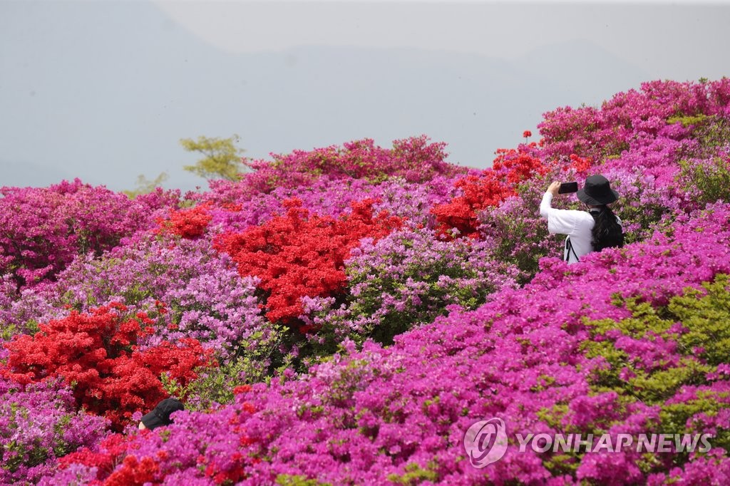 부산·울산·경남 맑다가 밤부터 흐림…미세먼지 '보통'