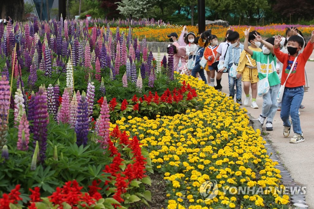 거리두기 해제 속 상쾌한 날씨…지역 축제장 모처럼 활기