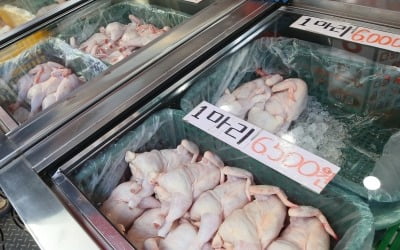 '닭고기 값·출고량 결정한 육계협회…"과징금 12억·檢 고발"
