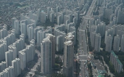 올해 서울 개별공시지가 11.54% 올라…성동구 상승폭 1위