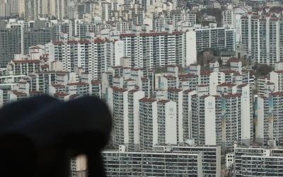 전문가 60% "집값 2년 후 안정…서울 매매가는 올해도 뛸 것"