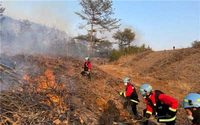 강원 양구 산불, 41시간 혈투 끝 '주불진화'