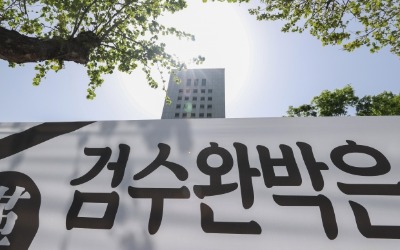 선관위 "국민투표 불가능하다"