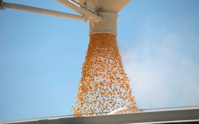 '푸드 인플레이션'시대…옥수수·콩 사상최고가 경신 '눈앞'