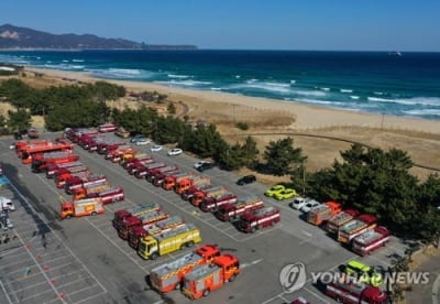 청명·한식 앞두고 산불 위험 최고조…강원도, 예방 활동 총력