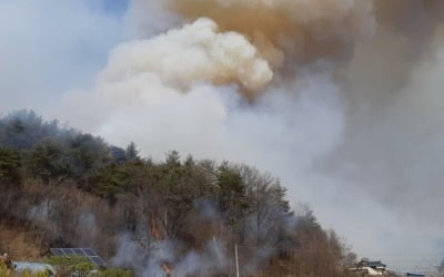 경북 봉화서 산불… '3단계 격상' 후 야간 진화에 총력