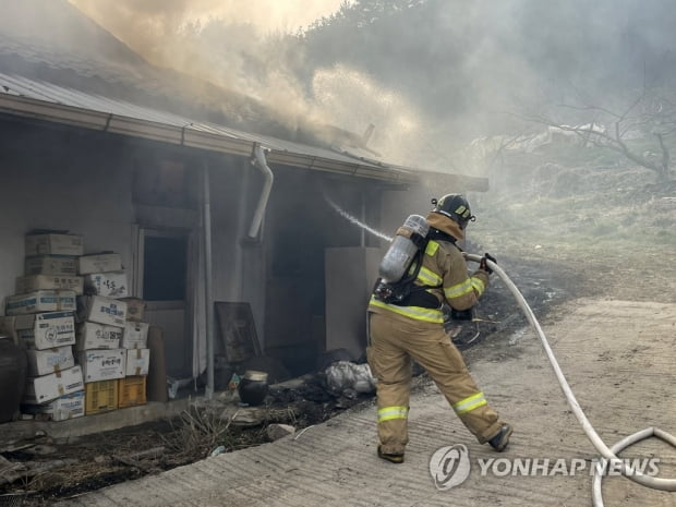 경북 봉화서 산불… '3단계 격상' 후 야간 진화에 총력