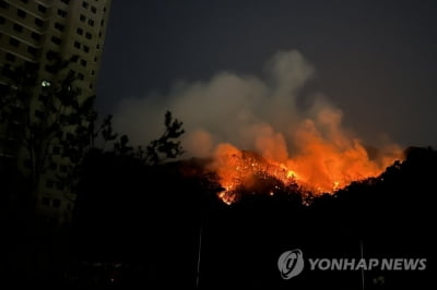 소방청, 건조·강풍 예고에 산불 대비태세 강화