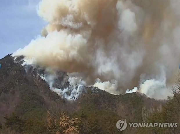 산불 또 산불… 건조한 날씨에 바람까지, 주말 내내 30여건 발생