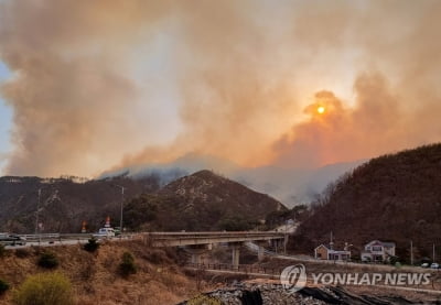 김총리 "강원 양구 산불 진화에 가용자원 총동원" 지시