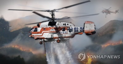 홍천 산불 1시간 30분 만에 진화…잔디 태운 80대 조사(종합)