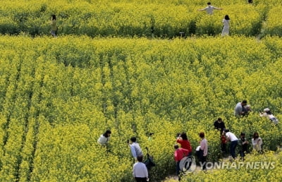 전북 맑고 큰 일교차… 낮 최고 17∼20도