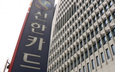 신한카드 국제브랜드 카드번호 보안취약…해외부정사용 우려(종합)