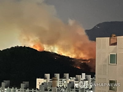 아파트단지 인근 대구 달서구 '학산' 산불…짙은 연기(종합)