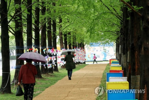 봄비 내리는 토요일…서울 낮 최고 17도 '선선'