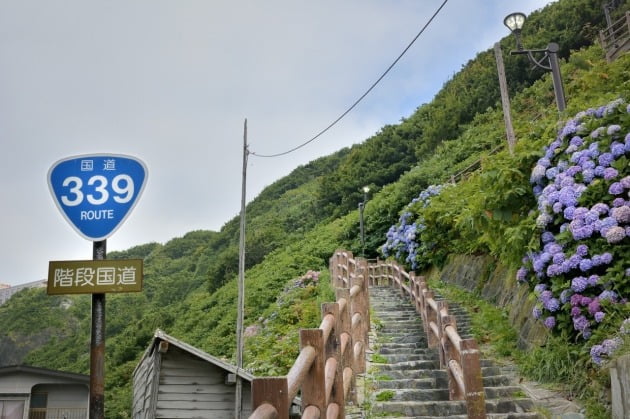 혼슈 최북단 아오모리현에서도 가장 북쪽인 쓰가루 반도의 닷피자키(龍飛崎)에는 일본 유일의 계단 국도가 있다. (자료 : 아오모리현 관광청) 