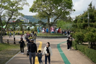 3년 만에 열린 함평나비대축제…관객 몰리고 지역상권 활기