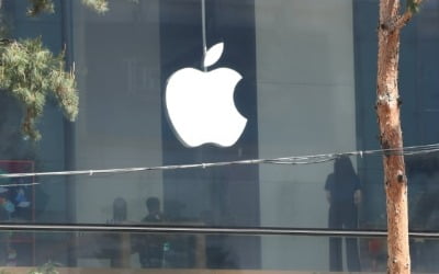 "넘사벽 된 애플" 삼성전자의 탄식