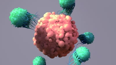 면역세포로 만든 ‘꿈의 항암제’, CAR-T