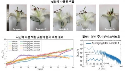 꽃향기, 눈으로 볼 수 있게 하는 기술 나왔다