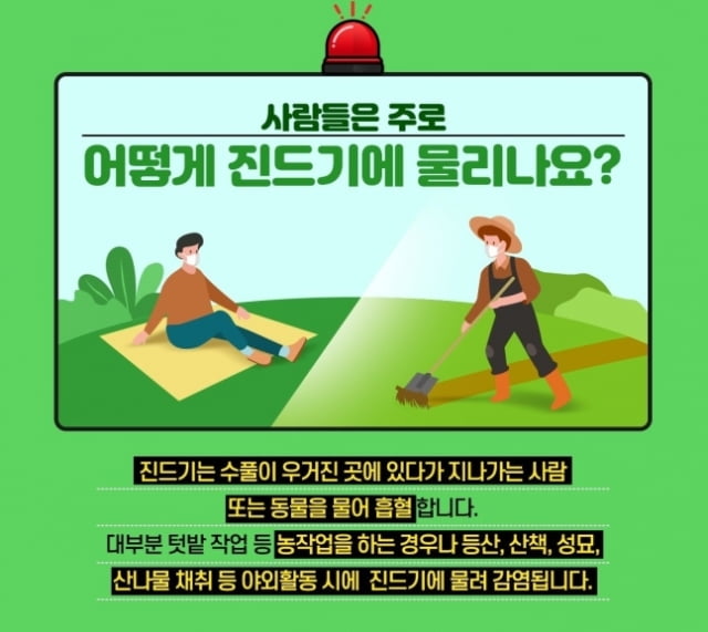 질병관리청에서 공개한 SFTS 관련 안내문. / 사진=질병관리청