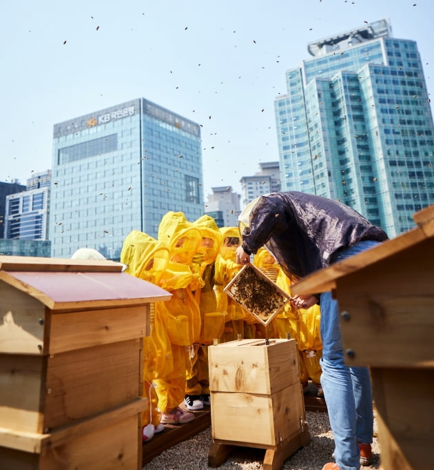 여의도 한복판에 양봉장 만든 KB금융…꿀벌 살린다