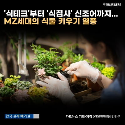 [영상뉴스]'식테크'부터 '식집사' 신조어까지... MZ세대의 식물 키우기 열풍