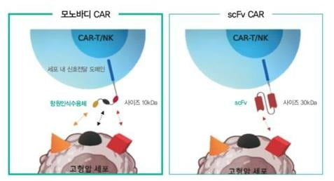 박셀바이오 모노바디 기반 CAR와 기존 치료제 비교 이미지 / 사진 제공=박셀바이오