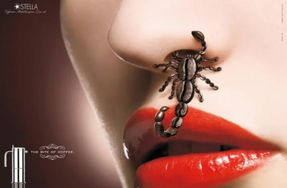 스텔라 커피포트의 광고 ‘거미’ 편과 ‘전갈’ 편 (2013)