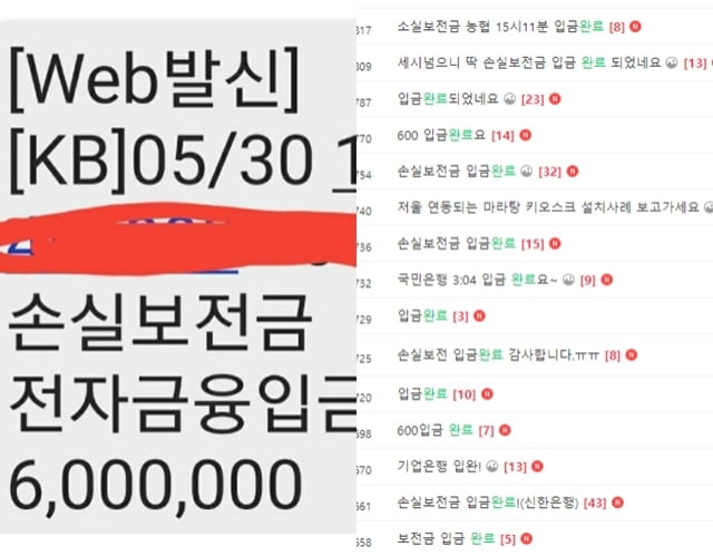 소상공인 손실보전금을 입금 받았다는 후기글. / 사진=아프니까 사장이다