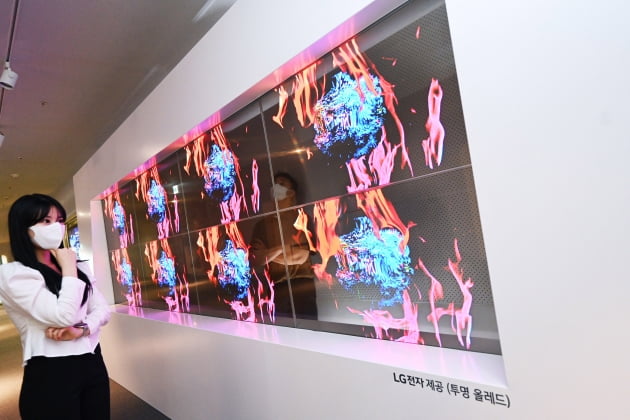 LG전자 '투명 올레드' 이번엔 서울 DDP…미디어아트 전시